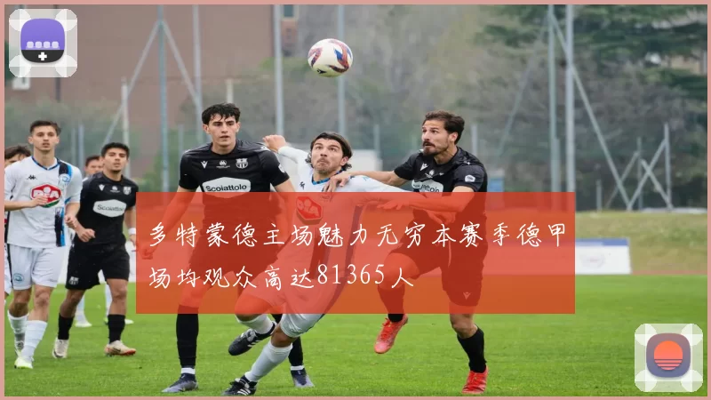 多特蒙德主场魅力无穷本赛季德甲场均观众高达81365人