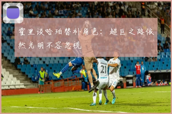 霍里谈哈珀替补角色：超巨之路依然光明不容忽视